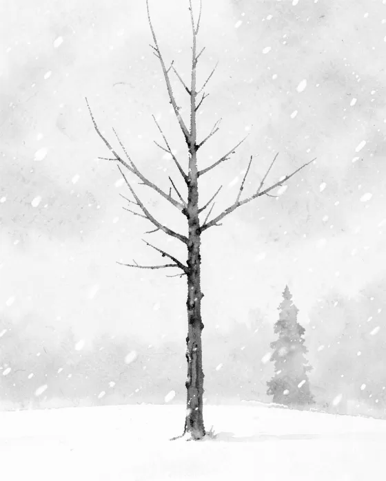 Tamarack Snow