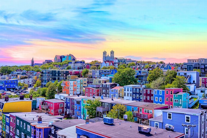 Rooftop Fun II - Newfoundland art print