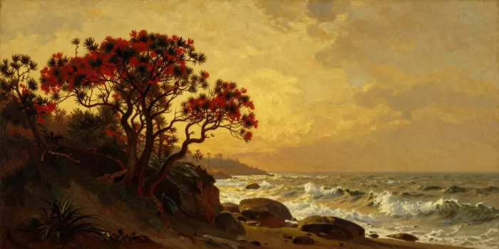 Crimson Arbutus