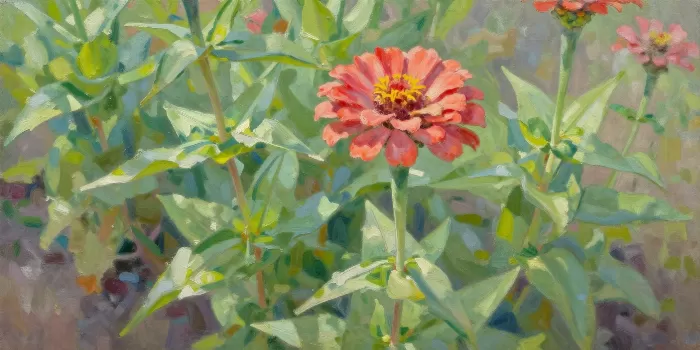 Sunlit Zinnia