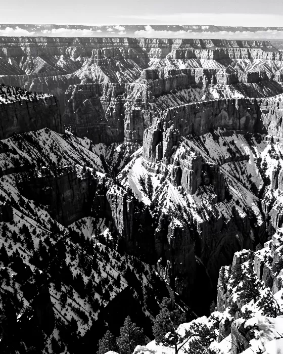 Winter Rim
