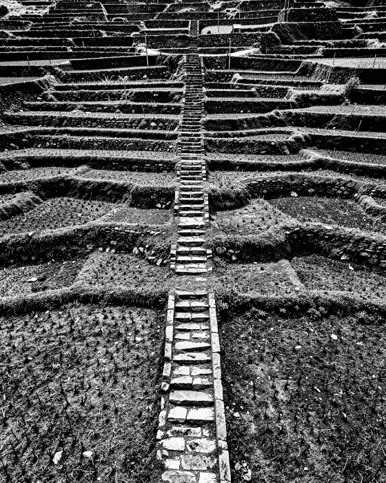 Terrace Ascent