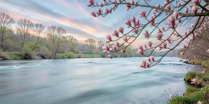 Magnolia River