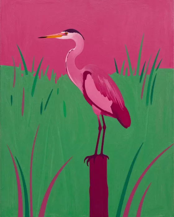 Magenta Marsh