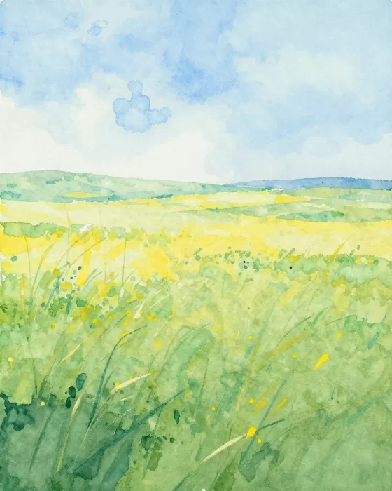 Meadow Mist