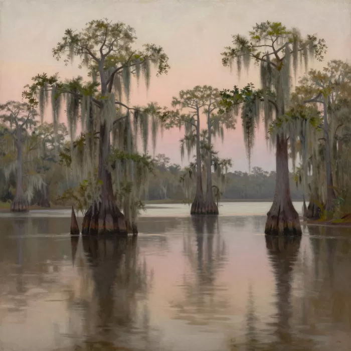 Bayou Dawn