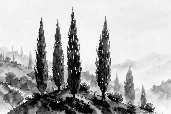 Misty Hillside