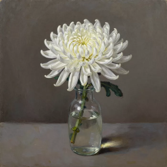 White Chrysanthemum