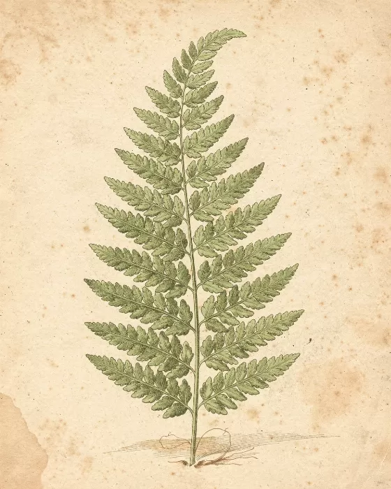 Verdant Plate