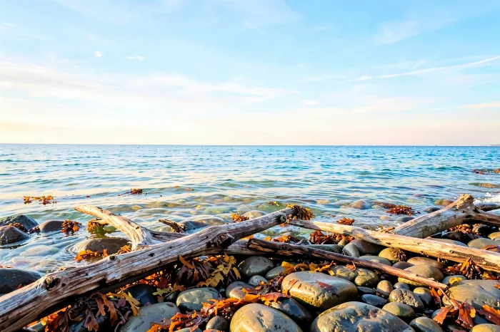 Autumn Shore II