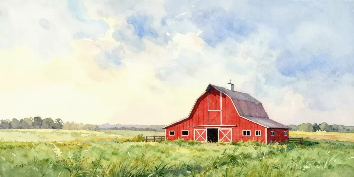 Morning Barn