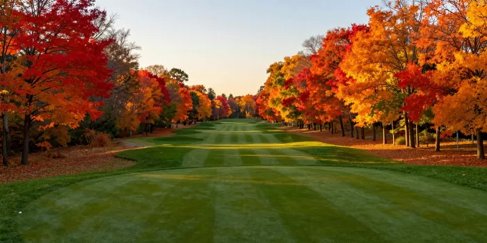 Fiery Greens