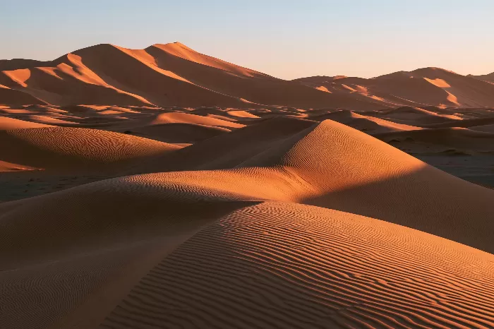 Desert Dawn