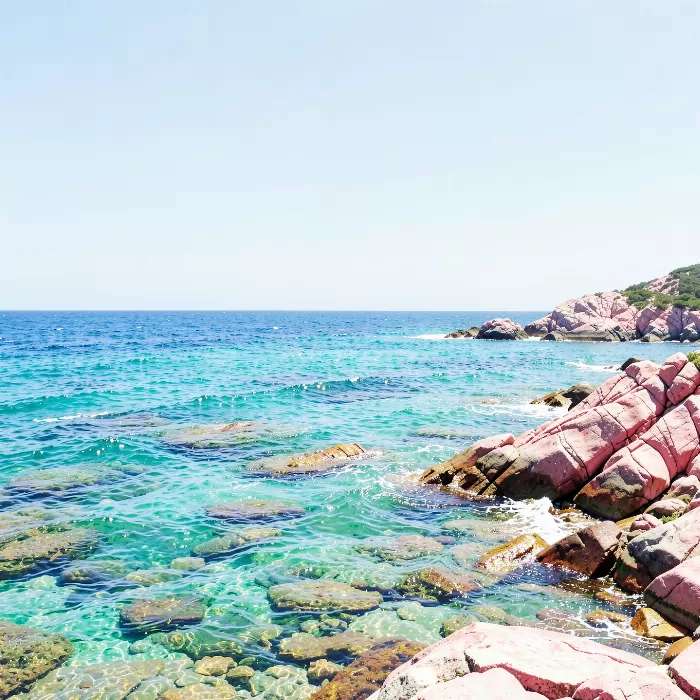 Pink Granite