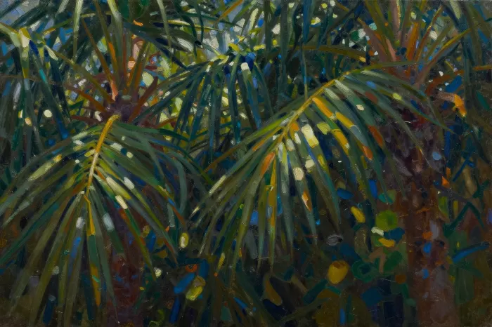 Tropical Canopy