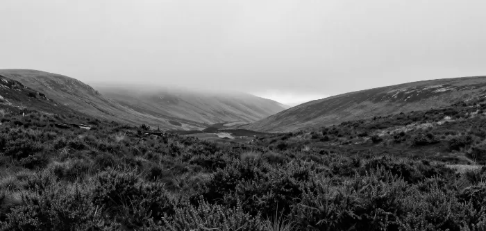 Heather Ridges