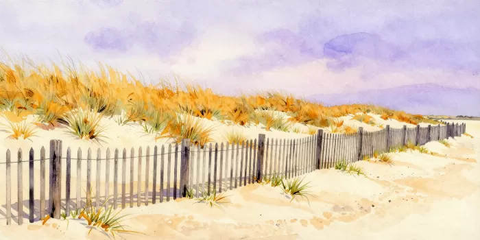 Coastal Fence