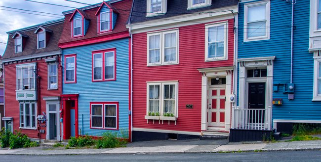 Jellybean Four - Newfoundland art print