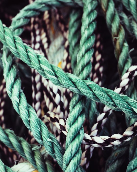 Fishermen's Knot - Newfoundland art print