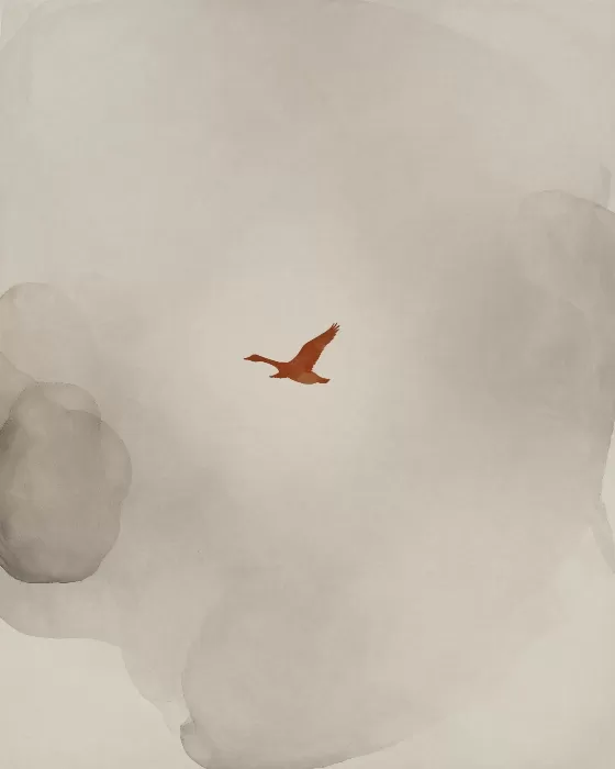 Stone Flight