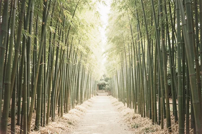 Green Stalks