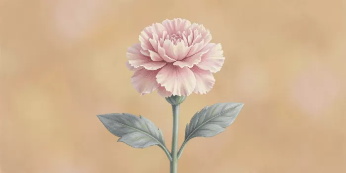 Chalk Bloom