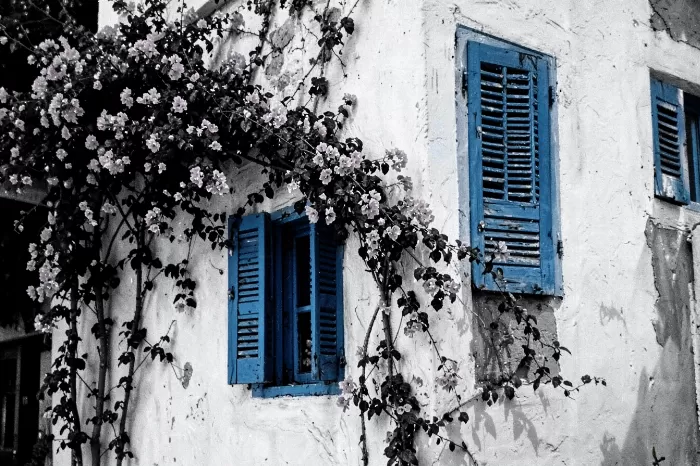 Sidi Facade