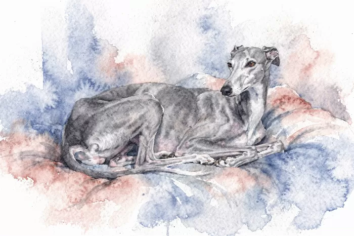 Greyhound Rest
