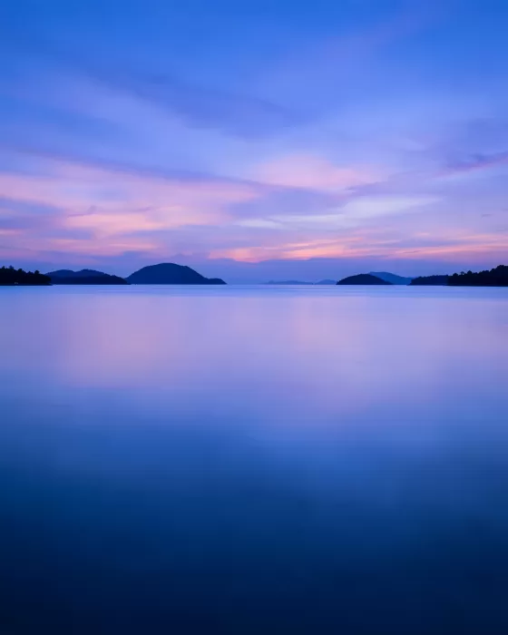 Violet Lagoon