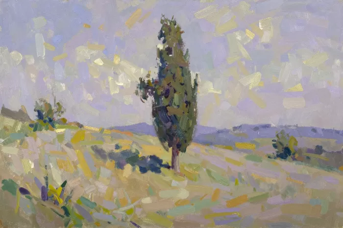 Sunlit Cypress