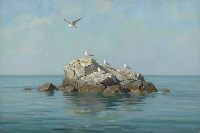 Tidal Perch