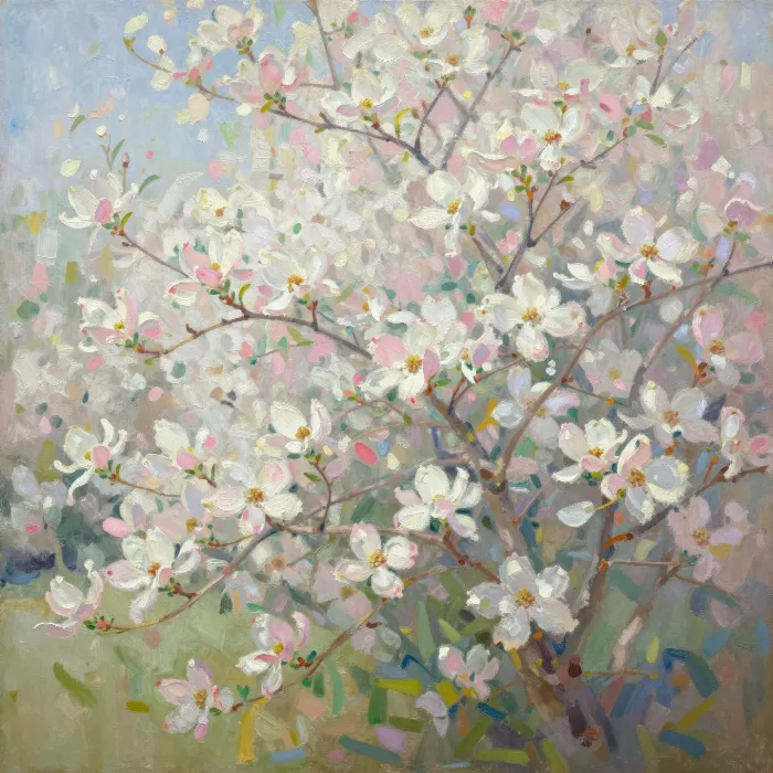 Dogwood Light