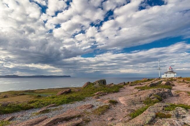 Cape Spear Light - Newfoundland art print