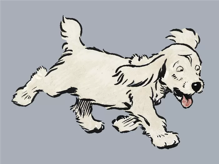 The White Puppy