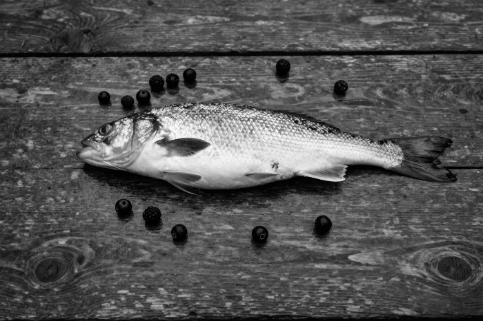 Split Cod