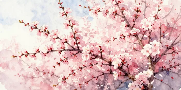 Spring Reach