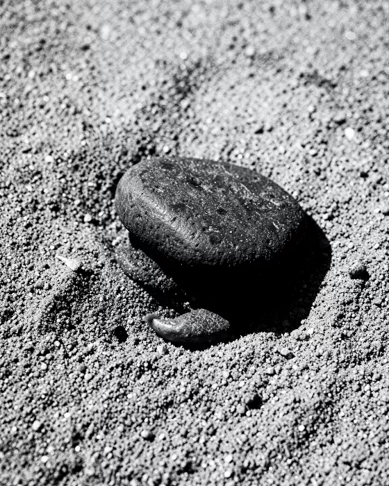 Stone Stillness