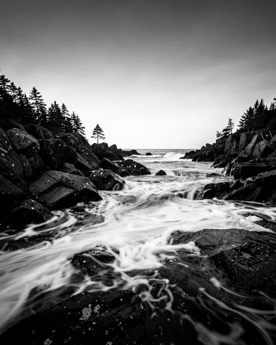 Acadia Surf