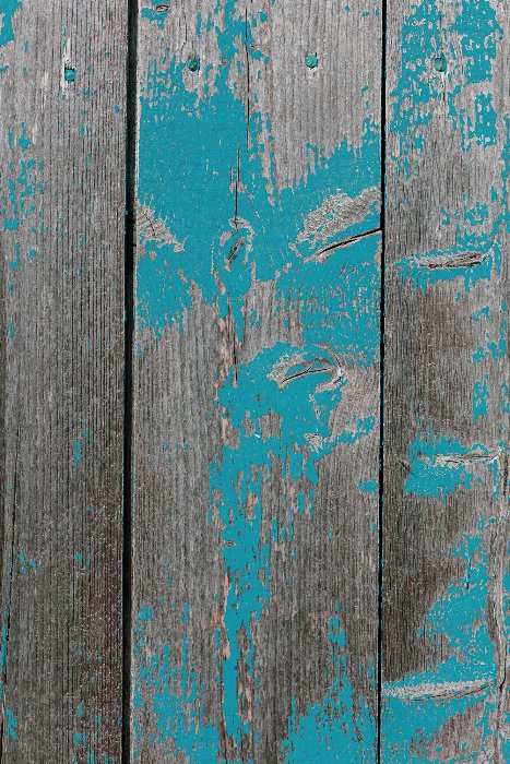 Aging - Newfoundland art print