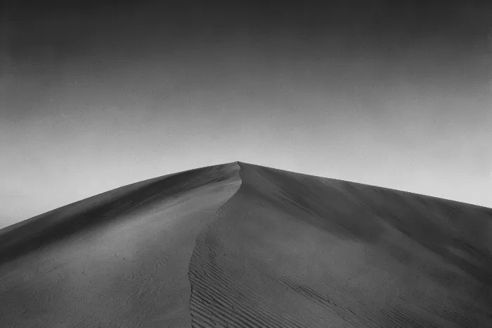 Desert Fold