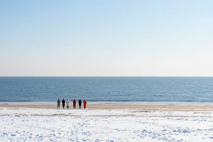 Winter Walkers