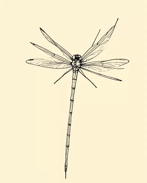 Reed Rest