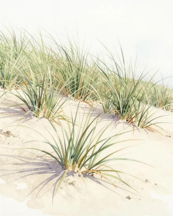 Sandy Blades