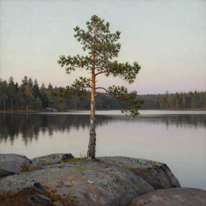 Pale Morning