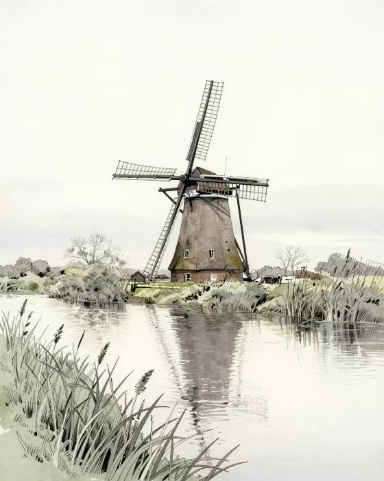 Fen Stillness
