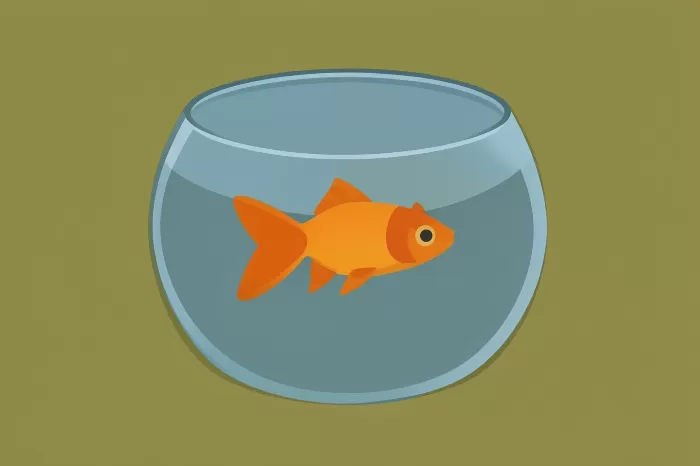 Goldfish Bowl