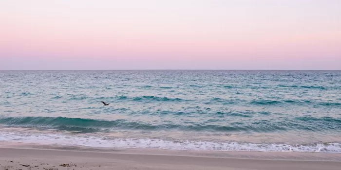 South Beach Sunrise