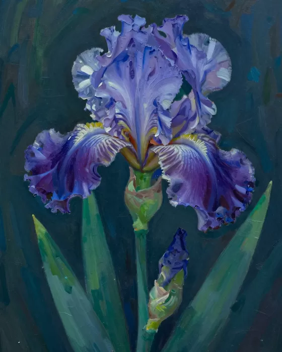 Iris Promise