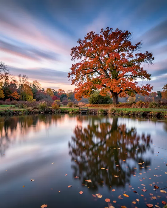 Autumn Glass