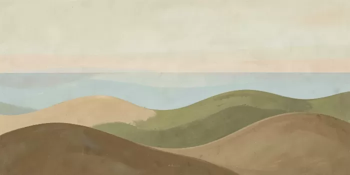 Shoreline Curves